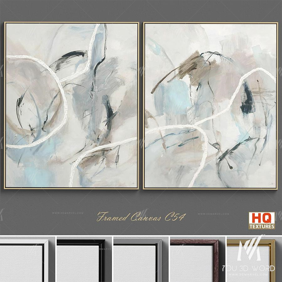 Framed Canvas C-54